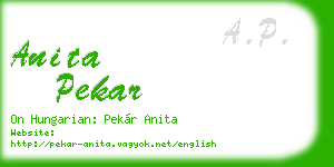 anita pekar business card